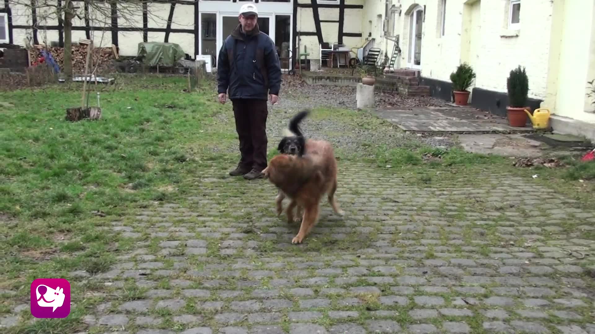 Konkurrenz