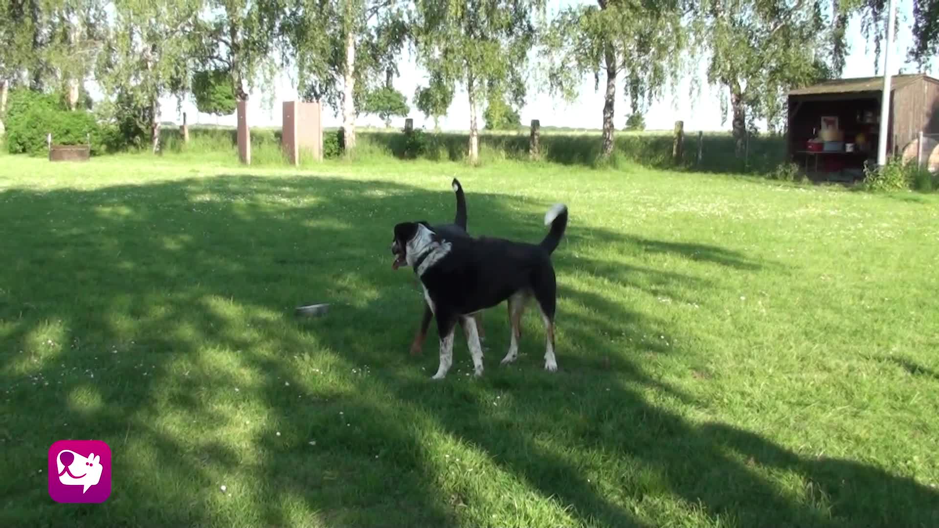 Einfrieren