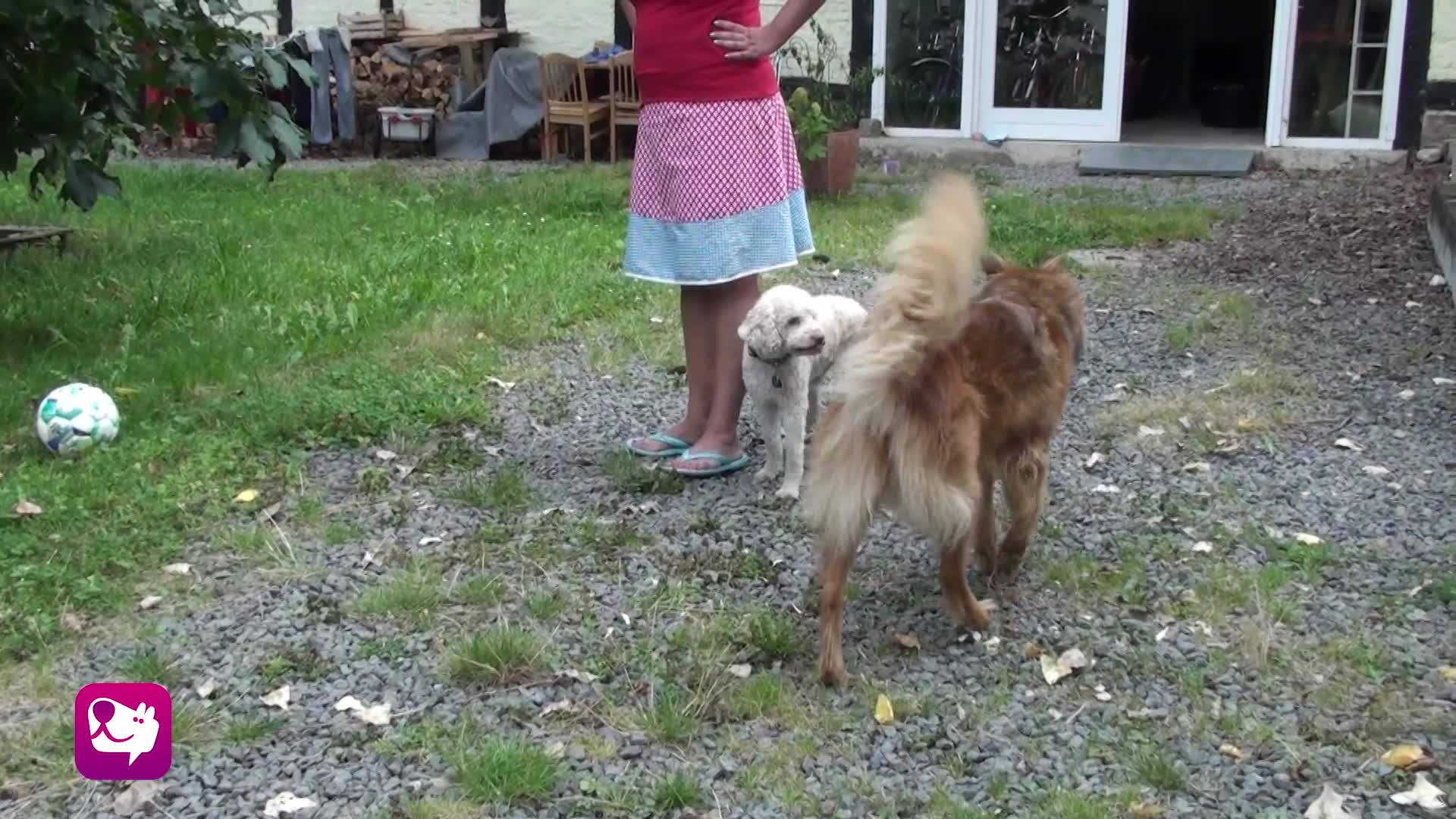 Beschnuppere mich nicht