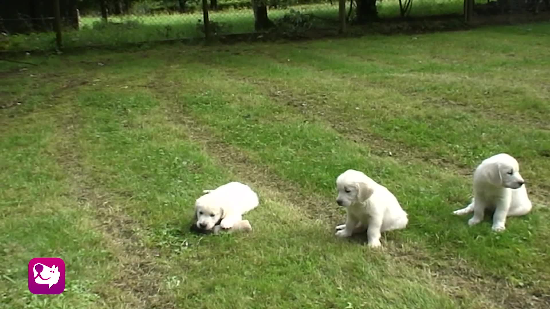 Kopfauflegen auf Besitz