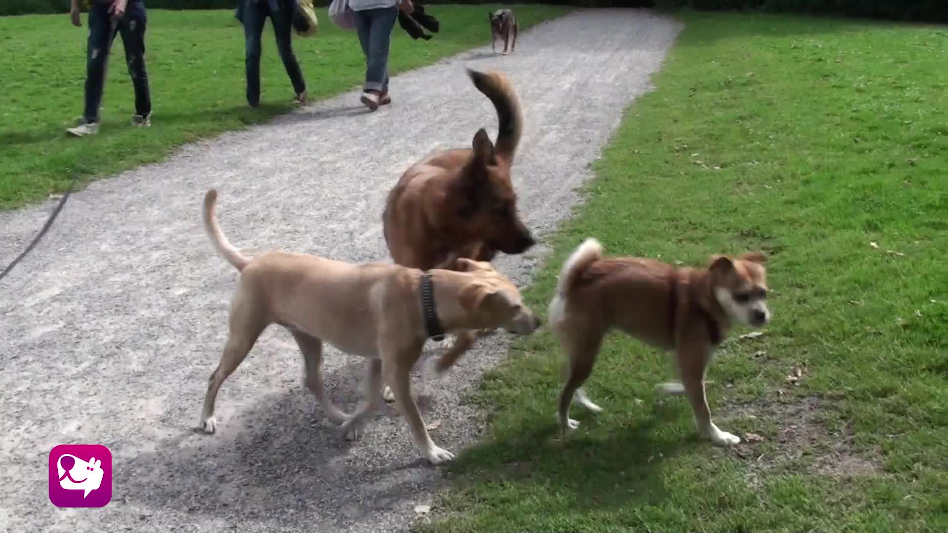 Beschnuppern