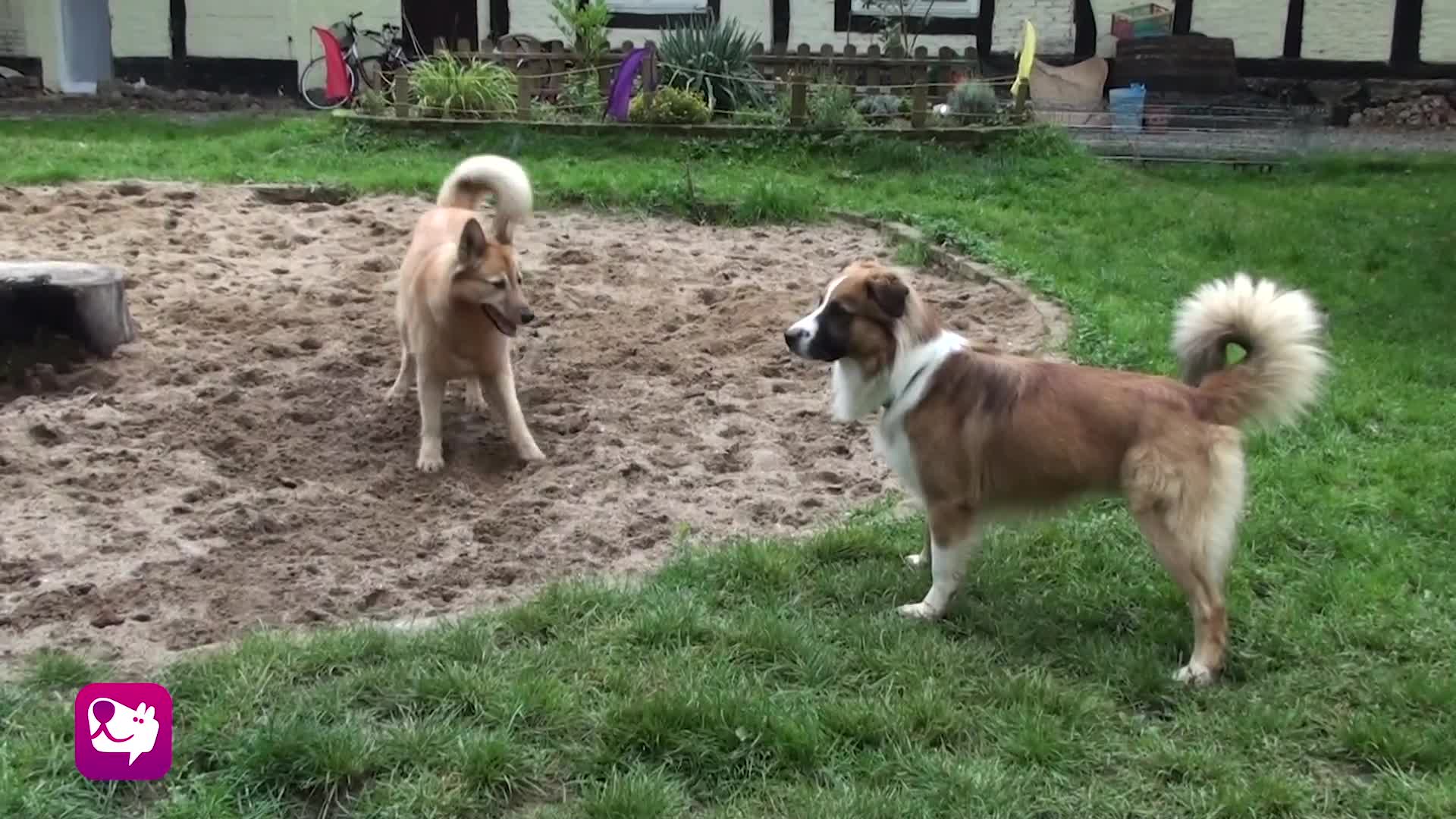 Spielgesicht