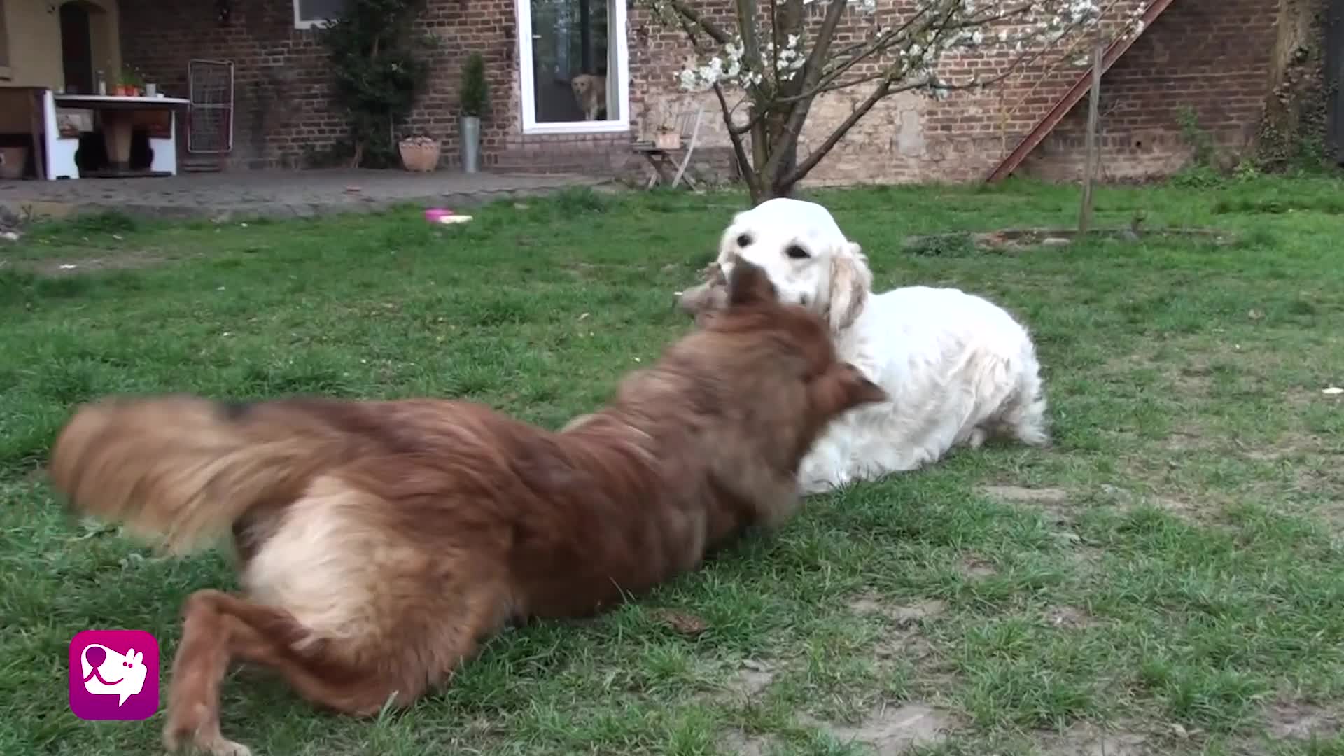 Zieh- und Zerrspiel