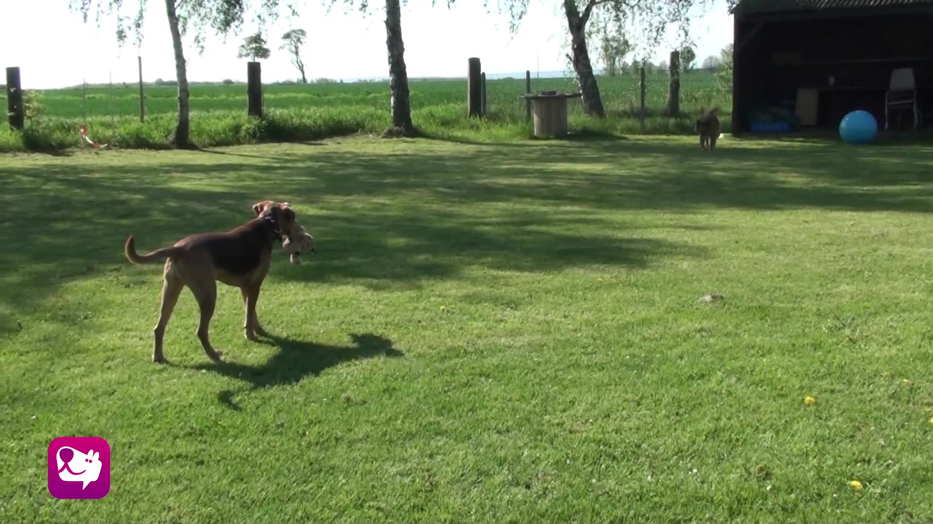 Verharren im Spiel