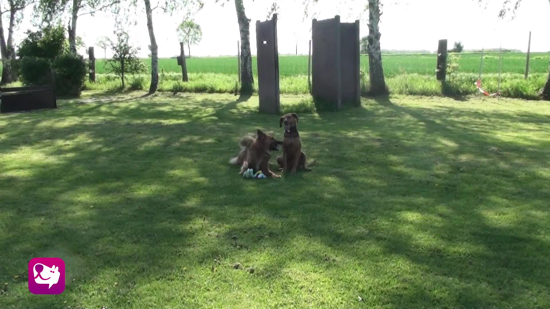 Beutespiel