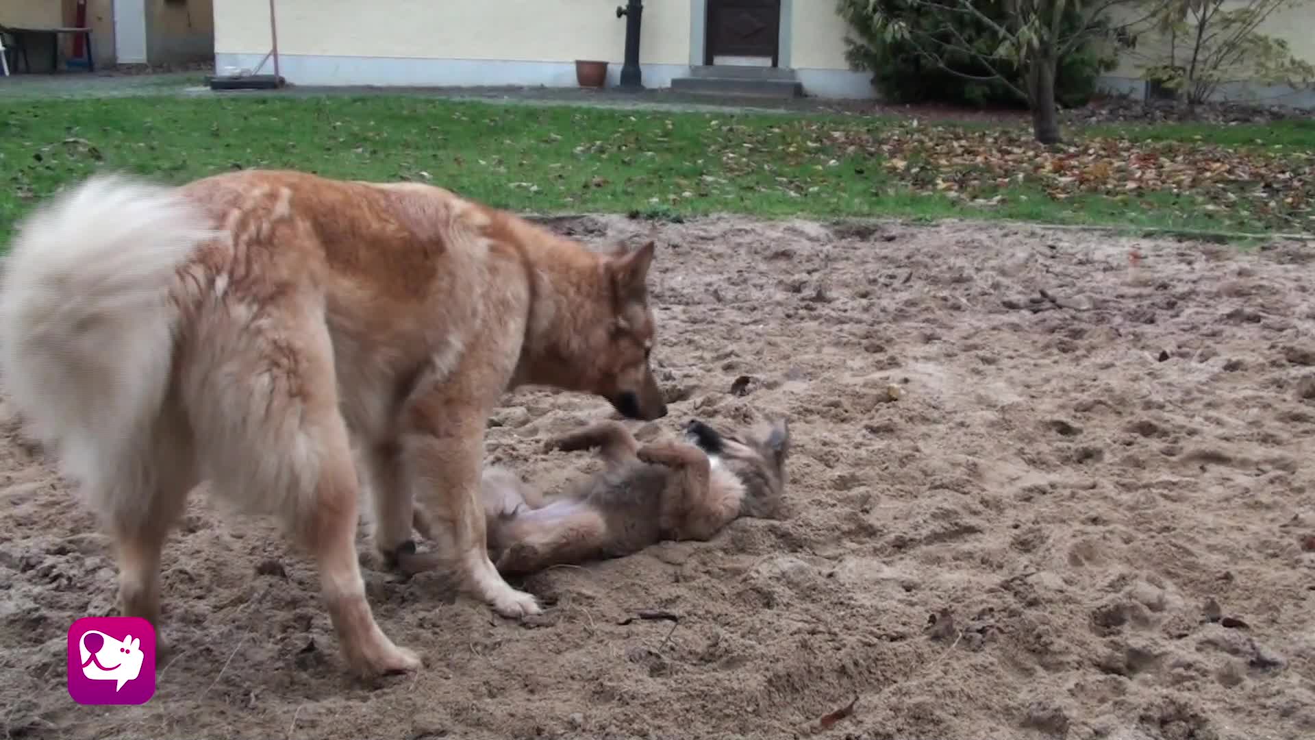 Erziehungsspiel Begrenzen