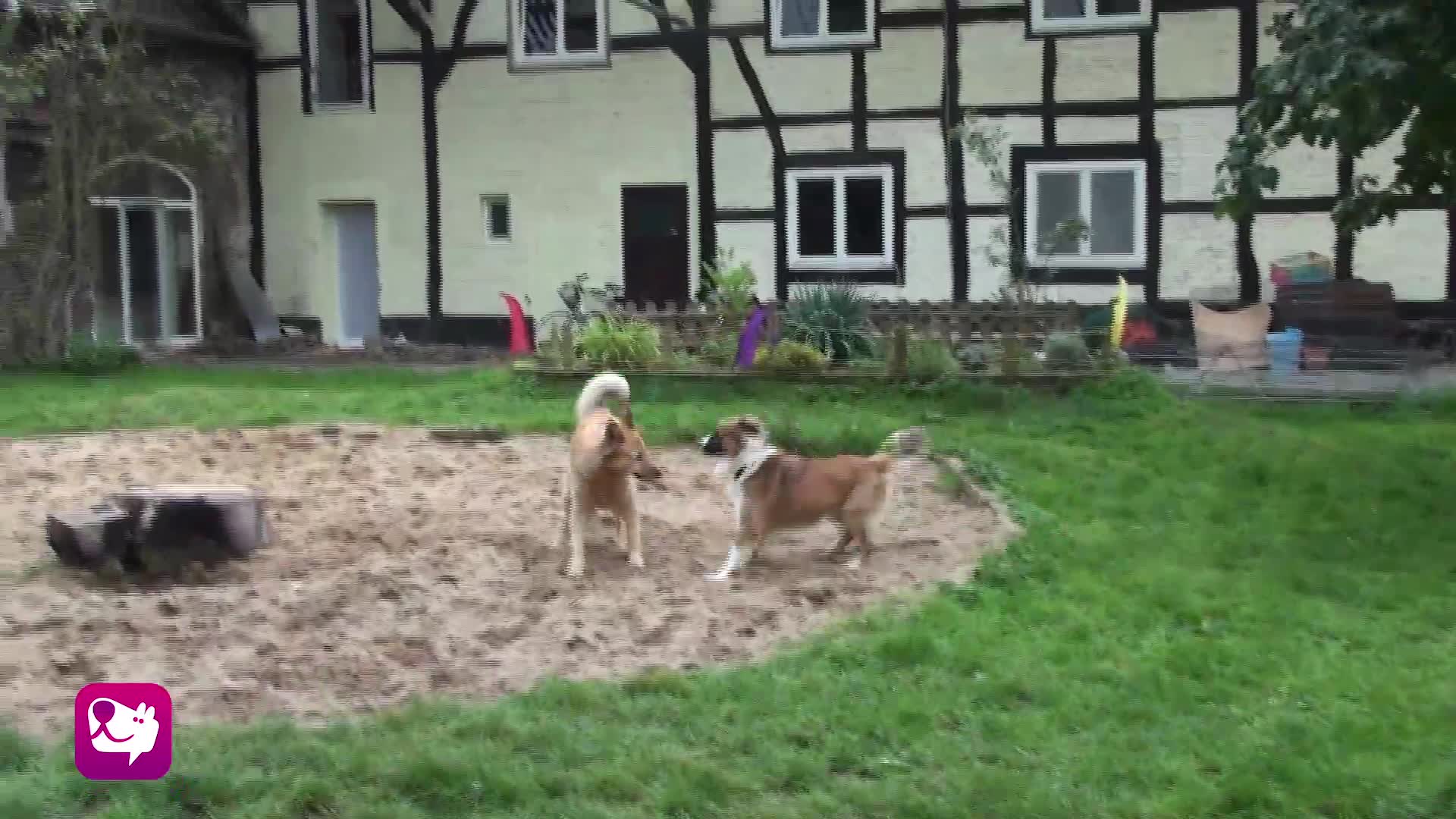Spielerische T-Stellung