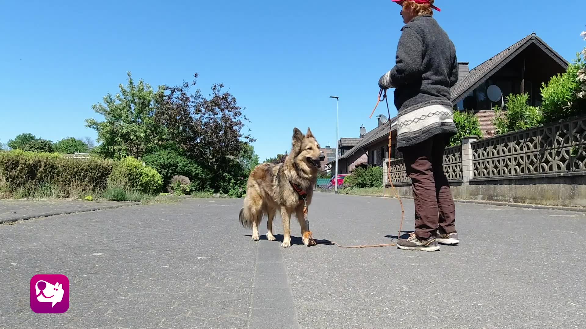 Abgesenkte Rutenhaltung