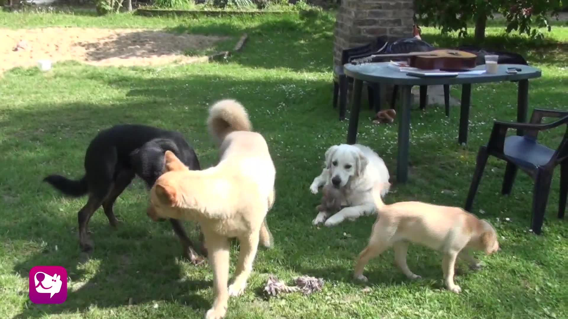 Abschirmen