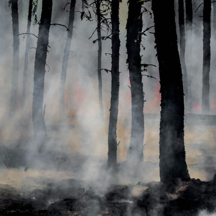 Flucht vor dem Feuer